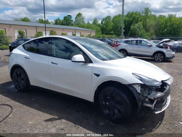 Photo 0 VIN: 7SAYGDEE0PF802038 - TESLA MODEL Y 