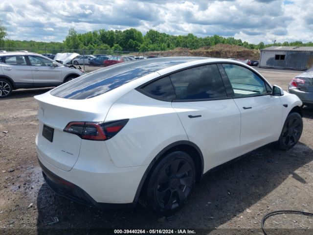 Photo 3 VIN: 7SAYGDEE0PF802038 - TESLA MODEL Y 