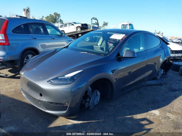 Photo 1 VIN: 7SAYGDEE0PF807532 - TESLA MODEL Y 