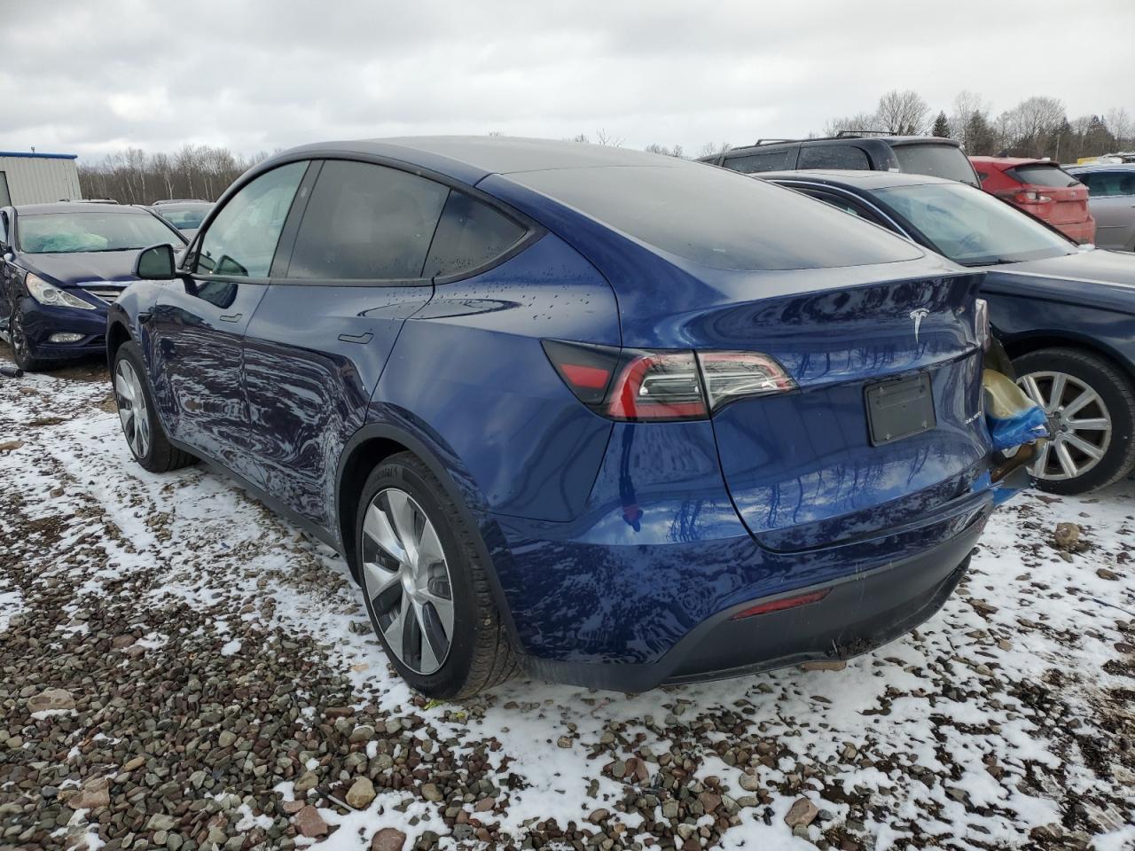 Photo 1 VIN: 7SAYGDEE0PF823827 - TESLA MODEL Y 