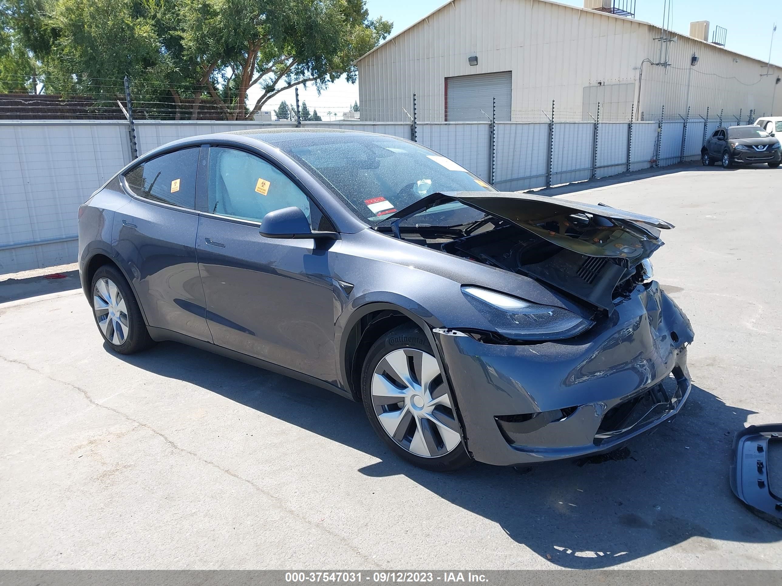 Photo 0 VIN: 7SAYGDEE0PF852163 - TESLA MODEL Y 