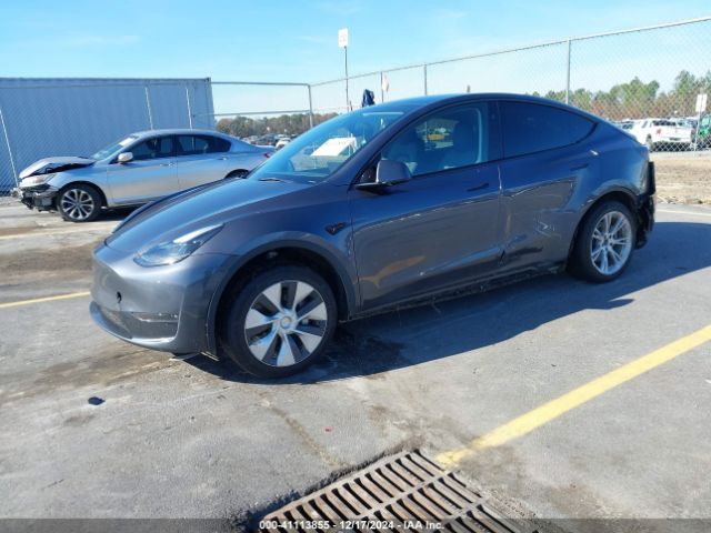 Photo 1 VIN: 7SAYGDEE0PF881601 - TESLA MODEL Y 