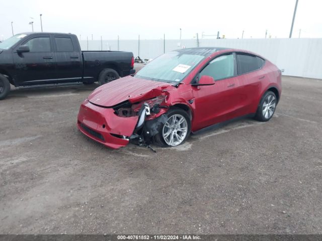 Photo 1 VIN: 7SAYGDEE0RA255644 - TESLA MODEL Y 