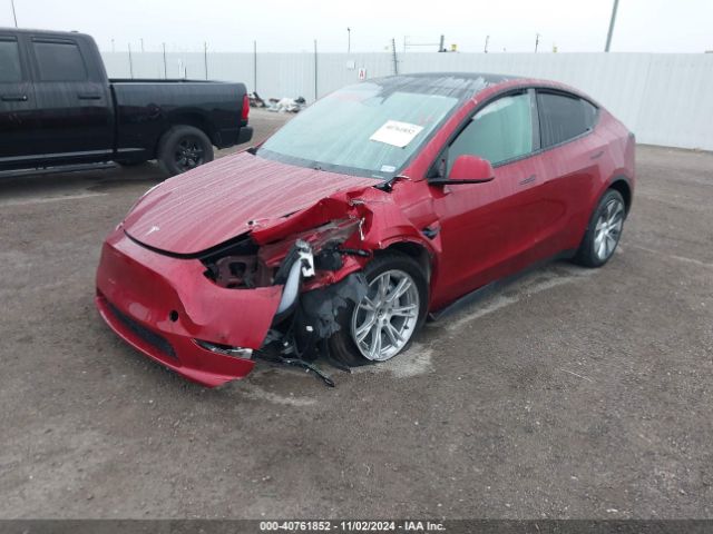 Photo 5 VIN: 7SAYGDEE0RA255644 - TESLA MODEL Y 