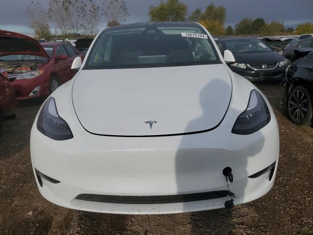 Photo 4 VIN: 7SAYGDEE0RA296453 - TESLA MODEL Y 