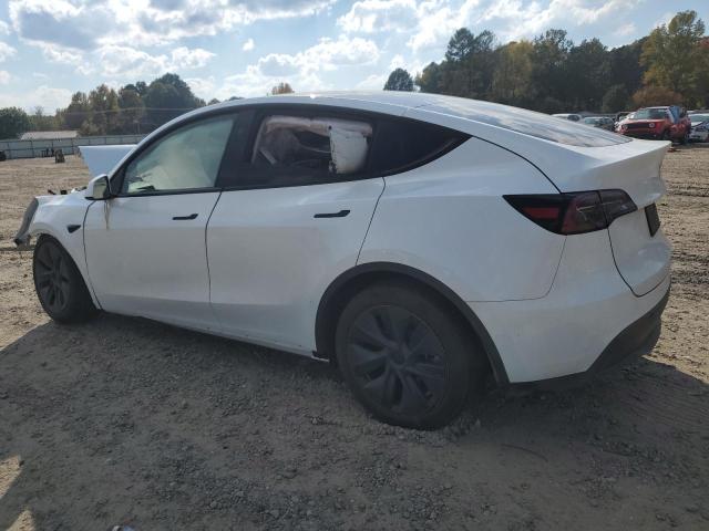 Photo 1 VIN: 7SAYGDEE0RA308715 - TESLA MODEL Y 