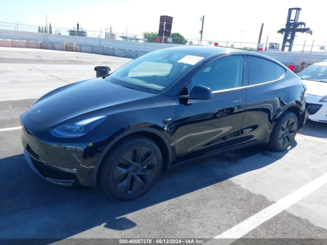 Photo 1 VIN: 7SAYGDEE0RF129836 - TESLA MODEL Y 