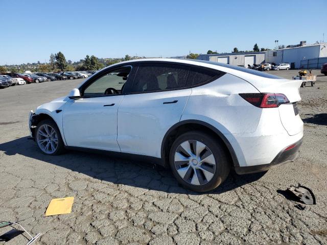 Photo 1 VIN: 7SAYGDEE0RF982107 - TESLA MODEL Y 