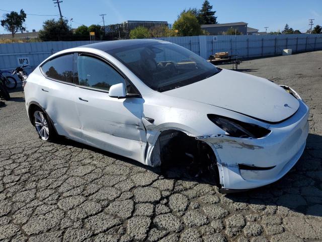 Photo 3 VIN: 7SAYGDEE0RF982107 - TESLA MODEL Y 