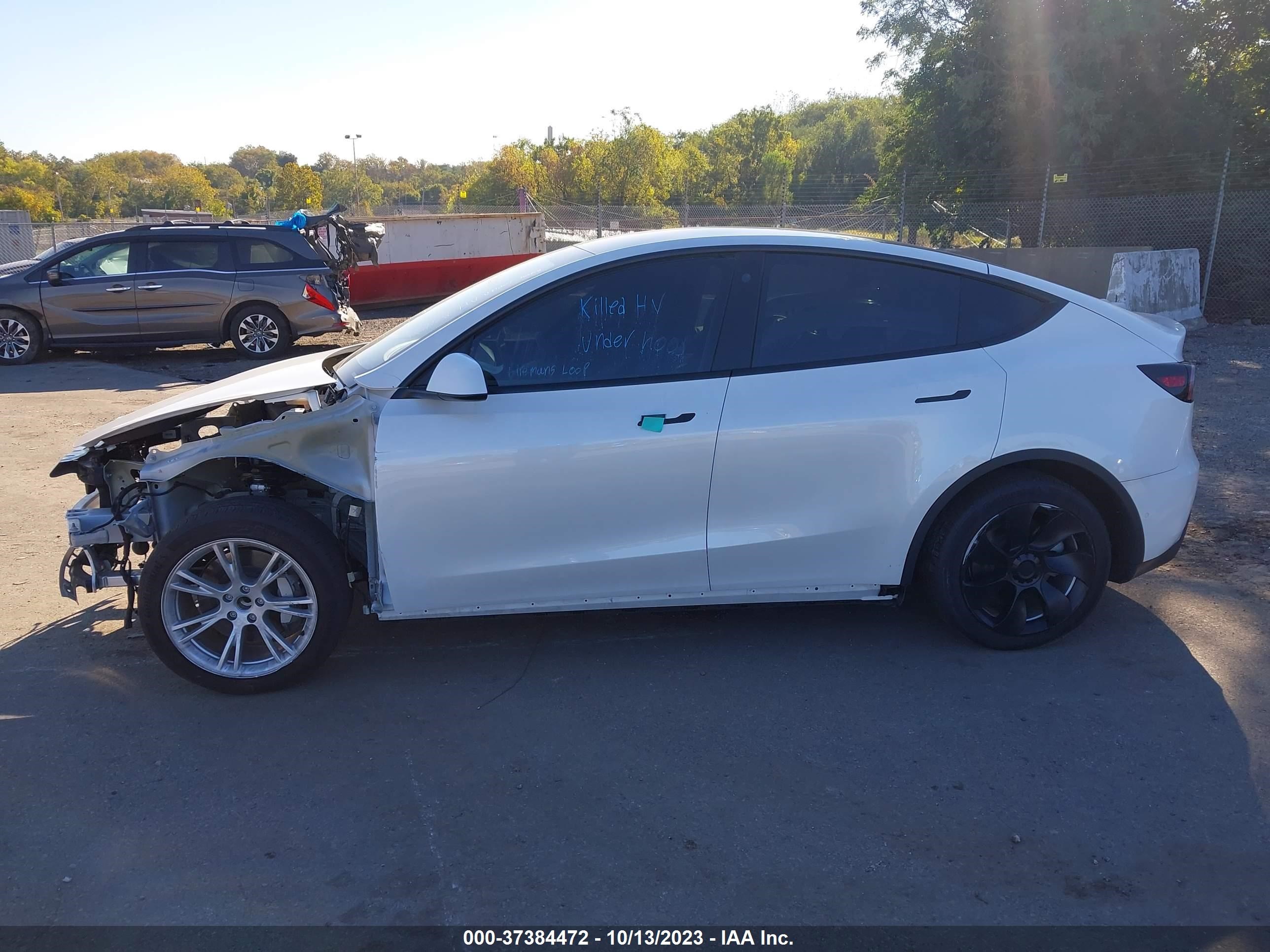 Photo 12 VIN: 7SAYGDEE1NA010233 - TESLA MODEL Y 