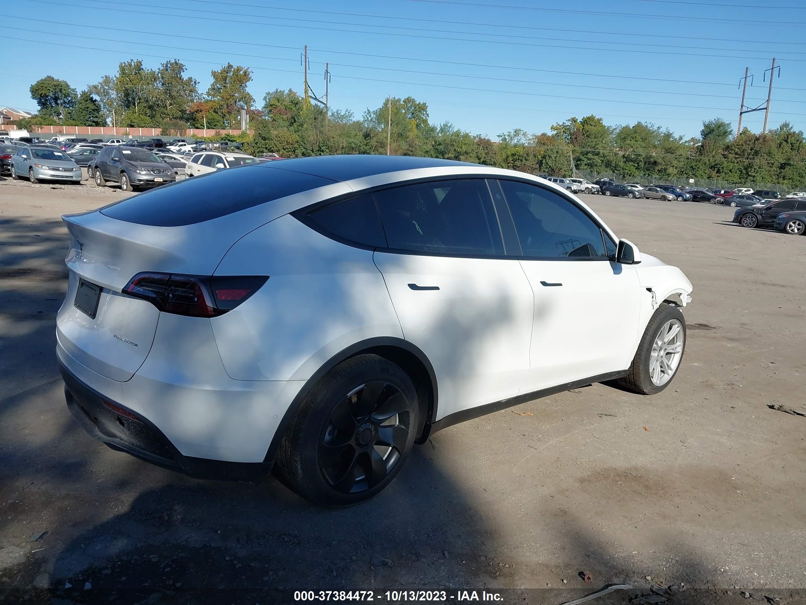 Photo 3 VIN: 7SAYGDEE1NA010233 - TESLA MODEL Y 