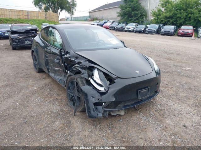 Photo 5 VIN: 7SAYGDEE1NF314715 - TESLA MODEL Y 