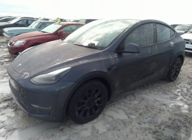 Photo 1 VIN: 7SAYGDEE1NF515773 - TESLA MODEL Y 