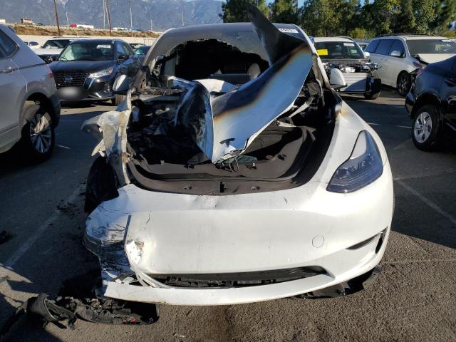 Photo 4 VIN: 7SAYGDEE1NF561748 - TESLA MODEL Y 