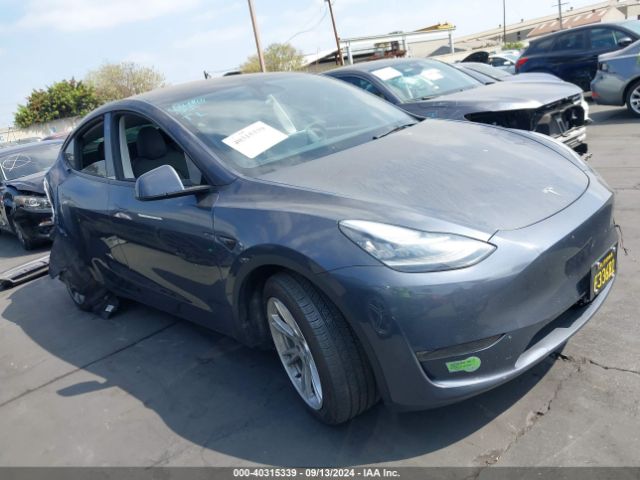 Photo 0 VIN: 7SAYGDEE1PA039525 - TESLA MODEL Y 