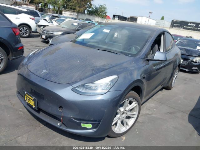 Photo 1 VIN: 7SAYGDEE1PA039525 - TESLA MODEL Y 