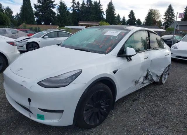 Photo 1 VIN: 7SAYGDEE1PA081192 - TESLA MODEL Y 