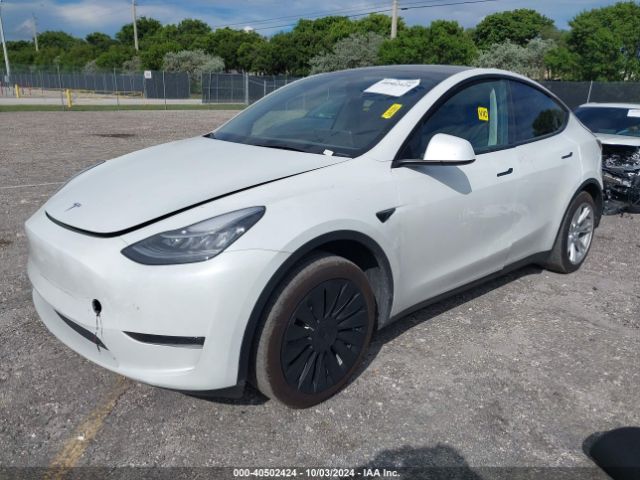 Photo 1 VIN: 7SAYGDEE1PA126521 - TESLA MODEL Y 