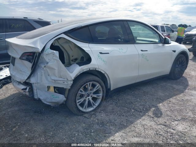 Photo 3 VIN: 7SAYGDEE1PA126521 - TESLA MODEL Y 