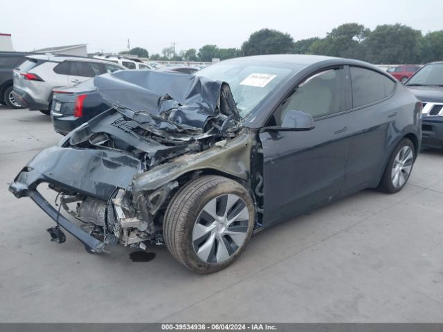 Photo 1 VIN: 7SAYGDEE1PA135185 - TESLA MODEL Y 