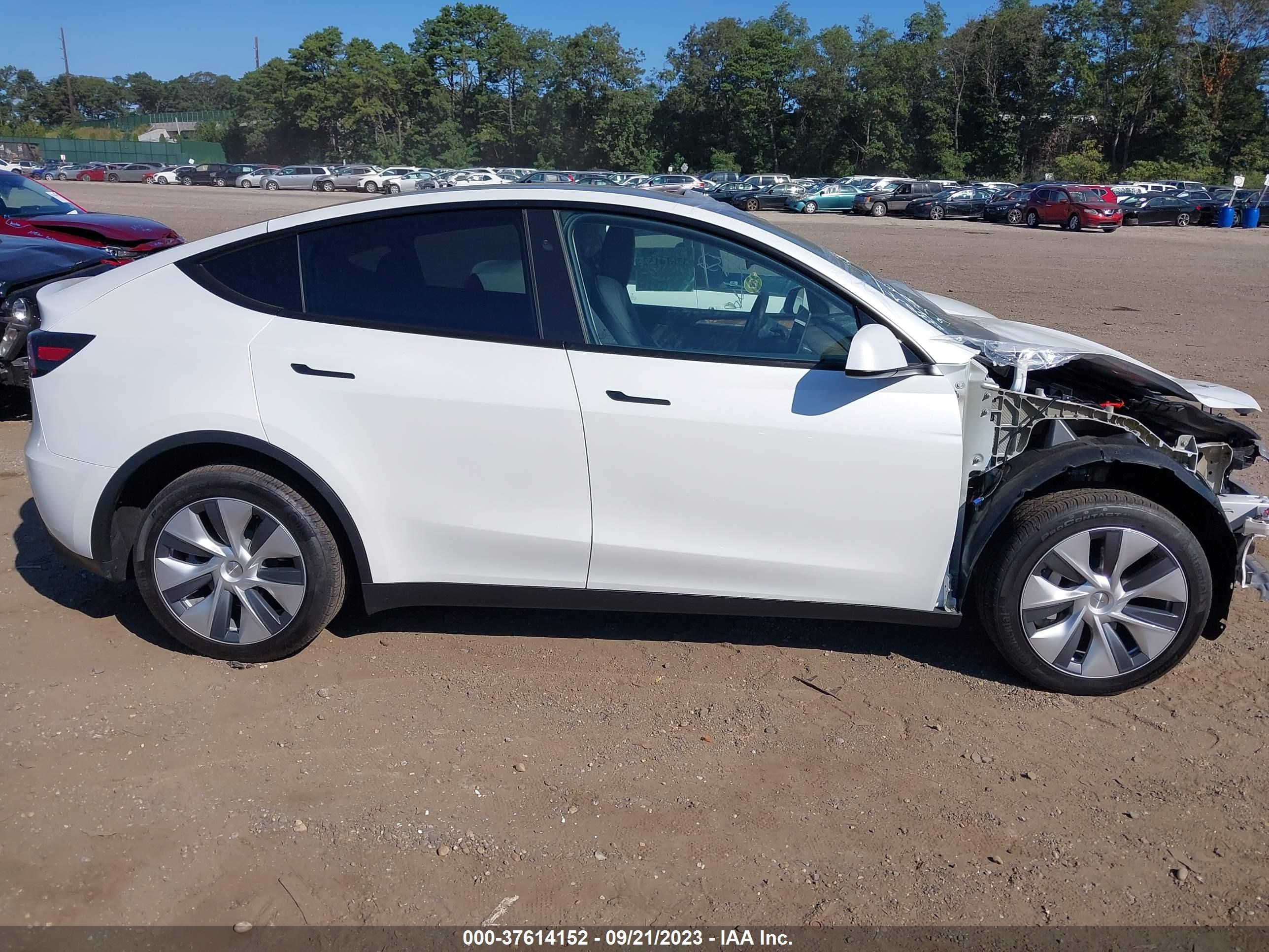 Photo 12 VIN: 7SAYGDEE1PA139740 - TESLA MODEL Y 