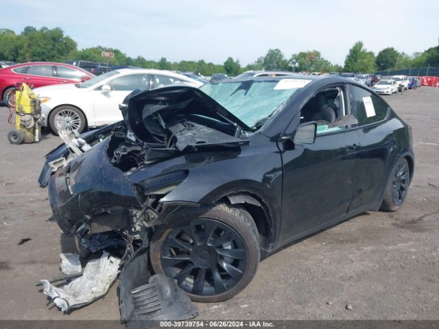 Photo 1 VIN: 7SAYGDEE1PA184256 - TESLA MODEL Y 