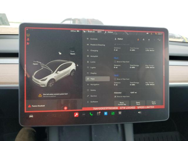 Photo 8 VIN: 7SAYGDEE1PF603838 - TESLA MODEL Y 