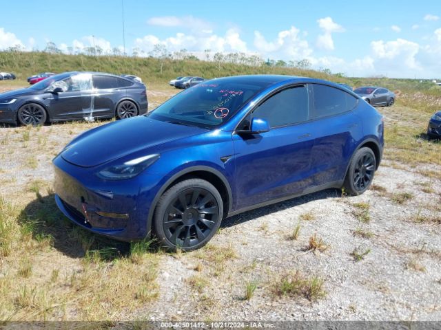 Photo 1 VIN: 7SAYGDEE1PF630201 - TESLA MODEL Y 