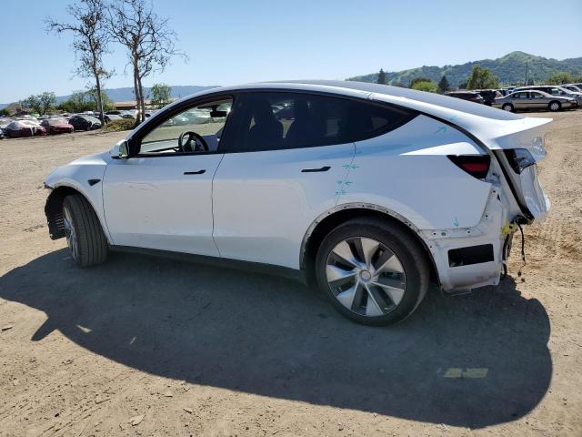 Photo 1 VIN: 7SAYGDEE1PF683304 - TESLA MODEL Y 