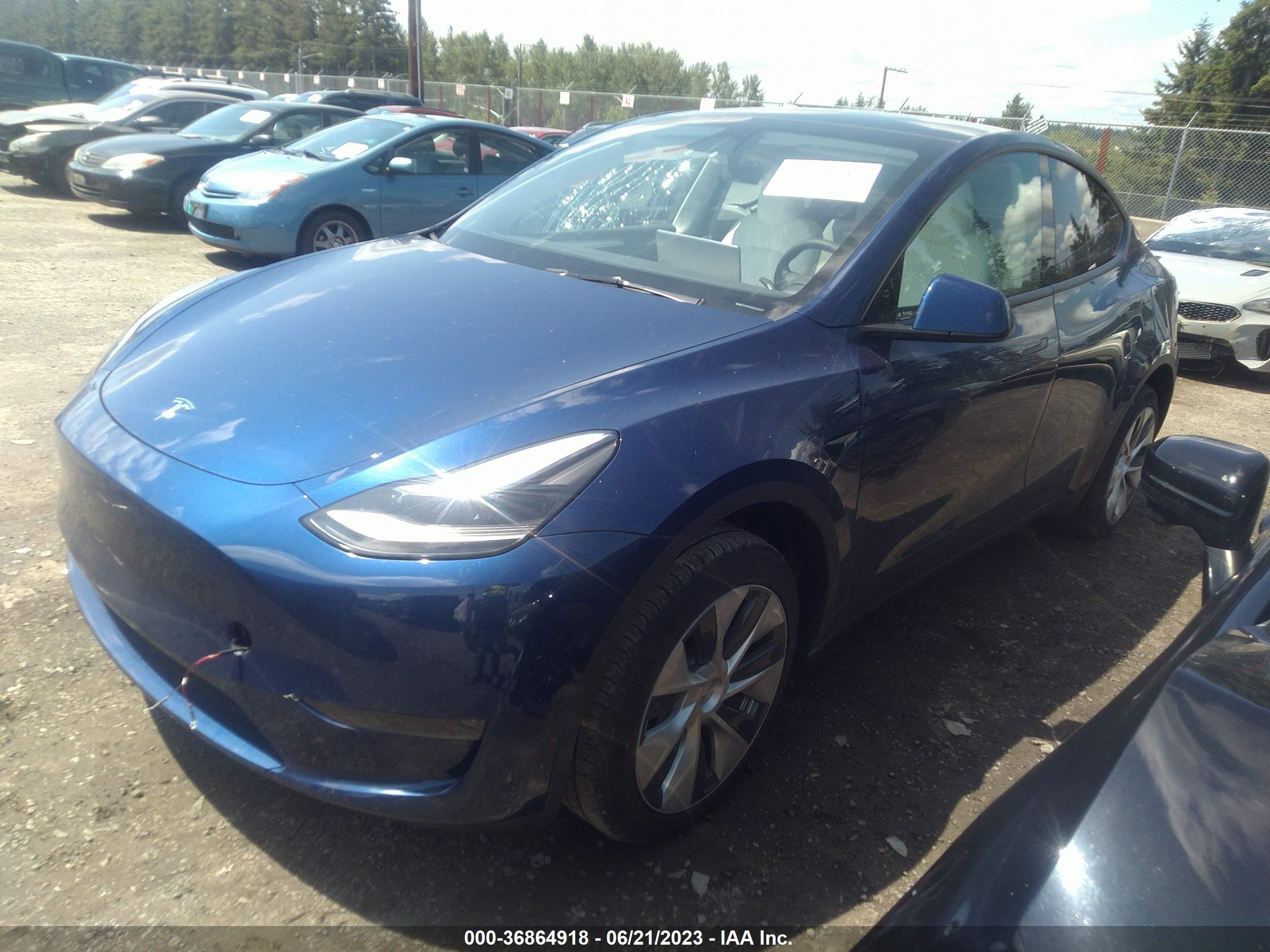 Photo 1 VIN: 7SAYGDEE1PF684128 - TESLA MODEL Y 