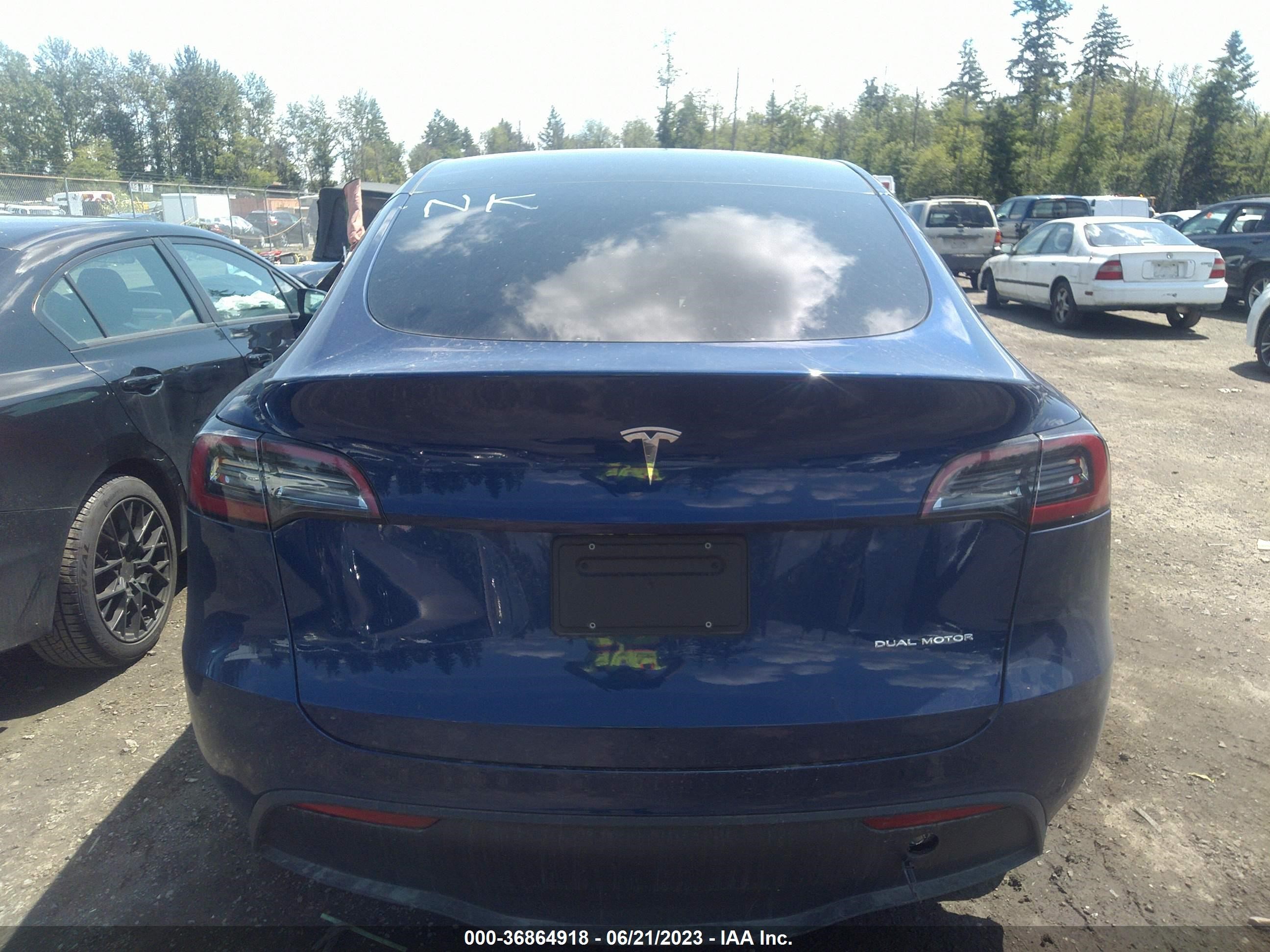 Photo 13 VIN: 7SAYGDEE1PF684128 - TESLA MODEL Y 