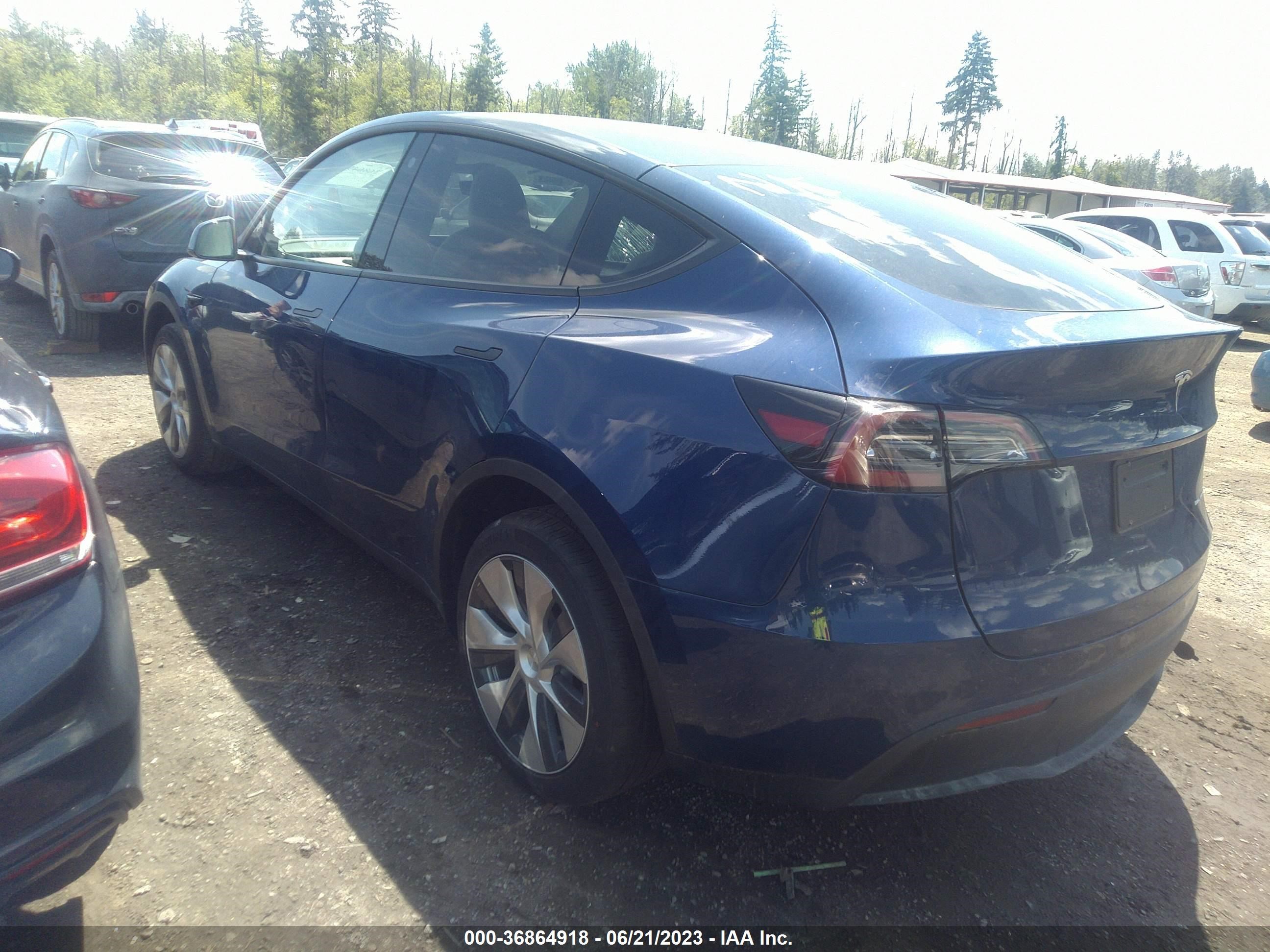 Photo 2 VIN: 7SAYGDEE1PF684128 - TESLA MODEL Y 