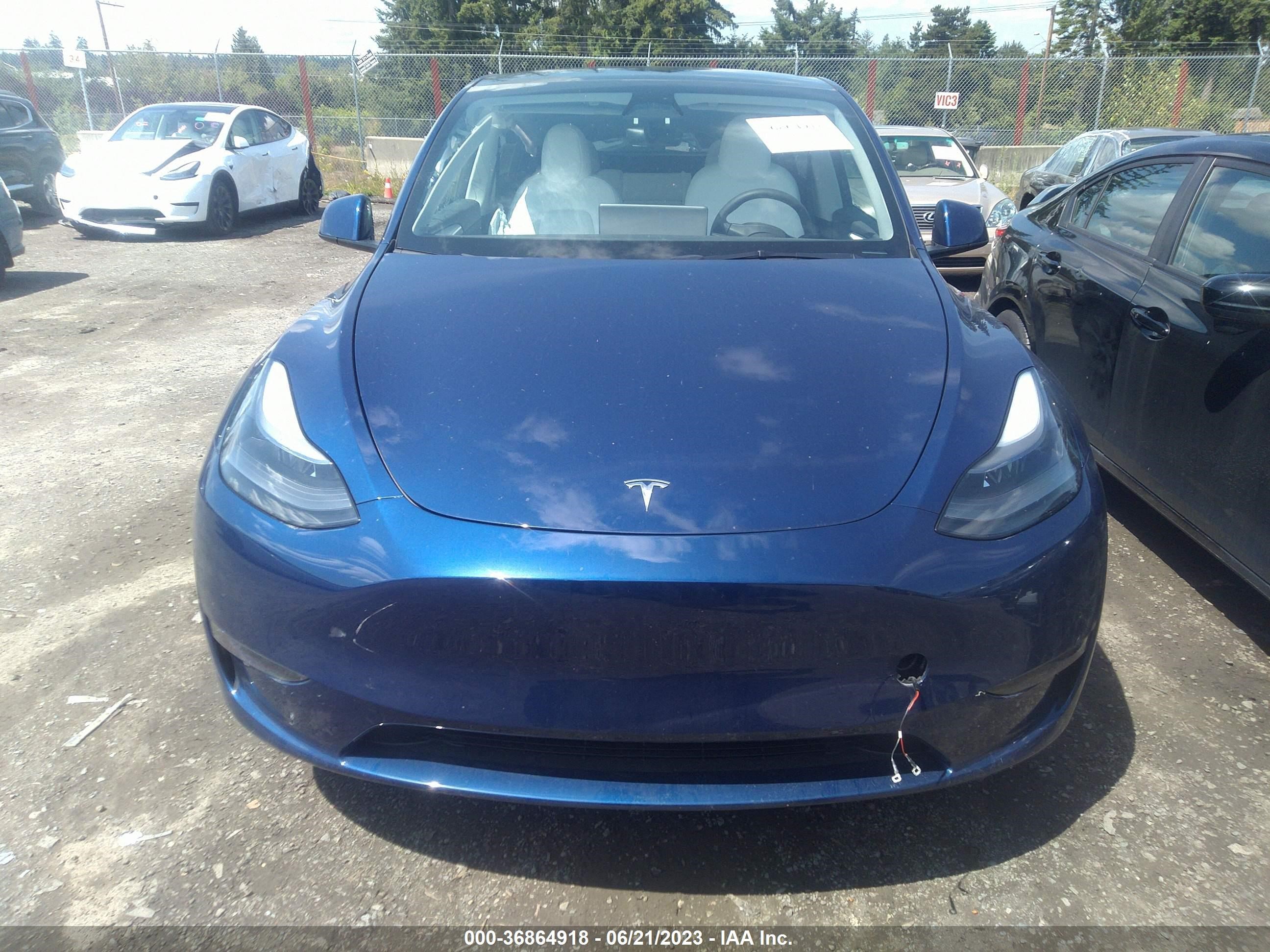 Photo 9 VIN: 7SAYGDEE1PF684128 - TESLA MODEL Y 