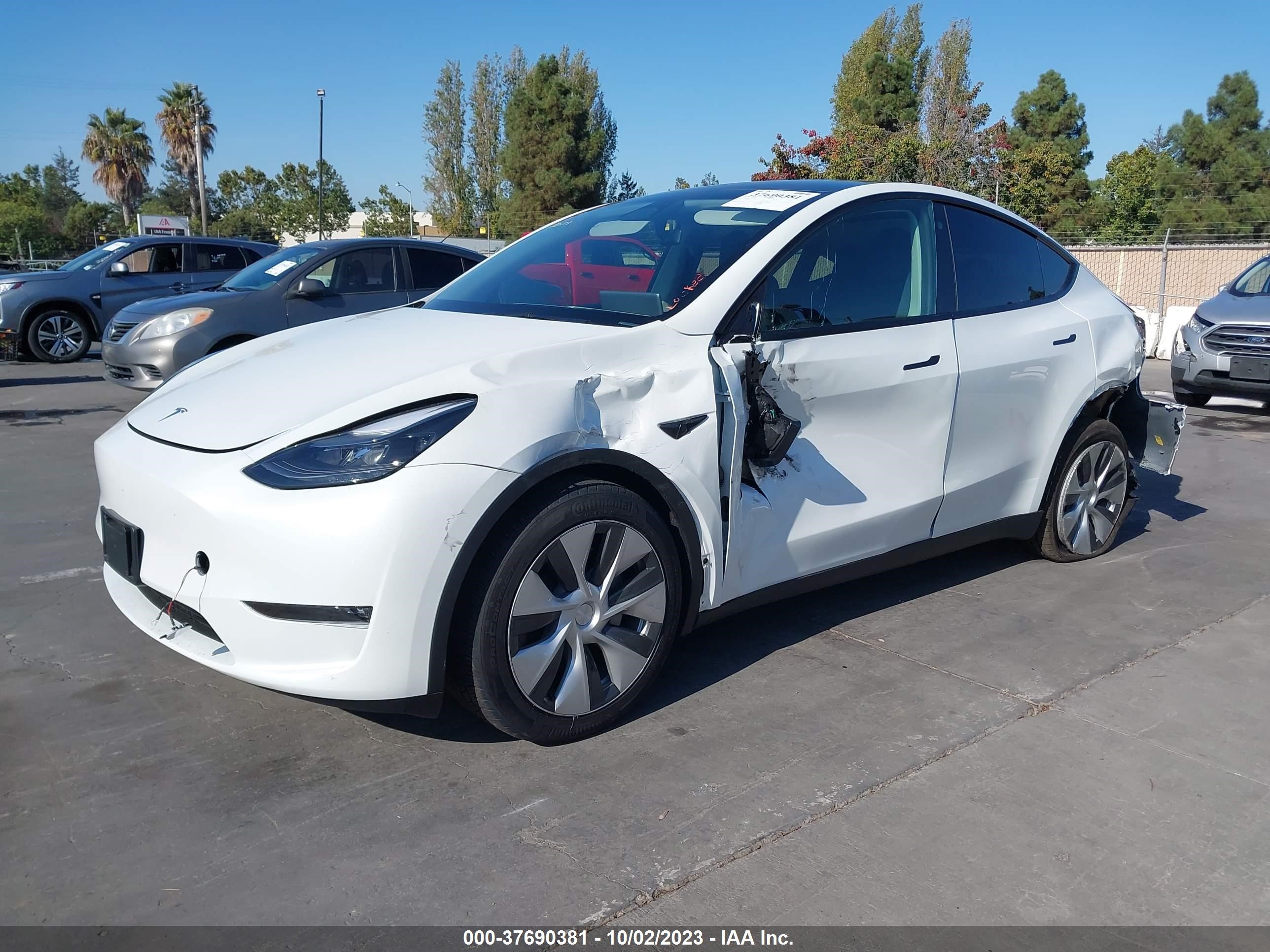 Photo 1 VIN: 7SAYGDEE1PF687451 - TESLA MODEL Y 