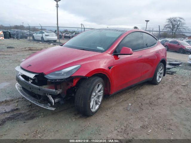 Photo 1 VIN: 7SAYGDEE1PF687725 - TESLA MODEL Y 