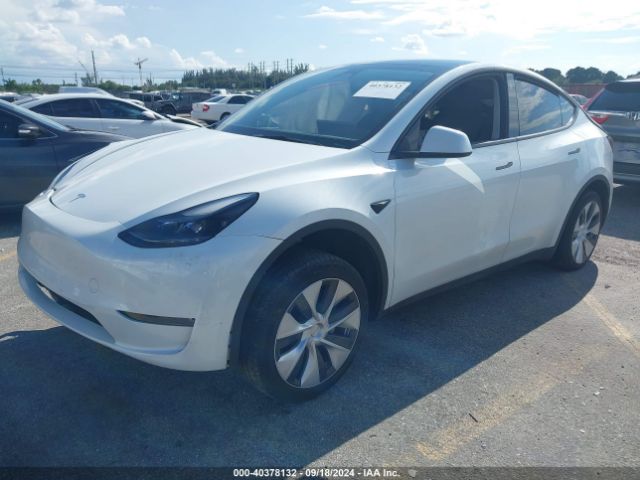 Photo 1 VIN: 7SAYGDEE1PF760785 - TESLA MODEL Y 