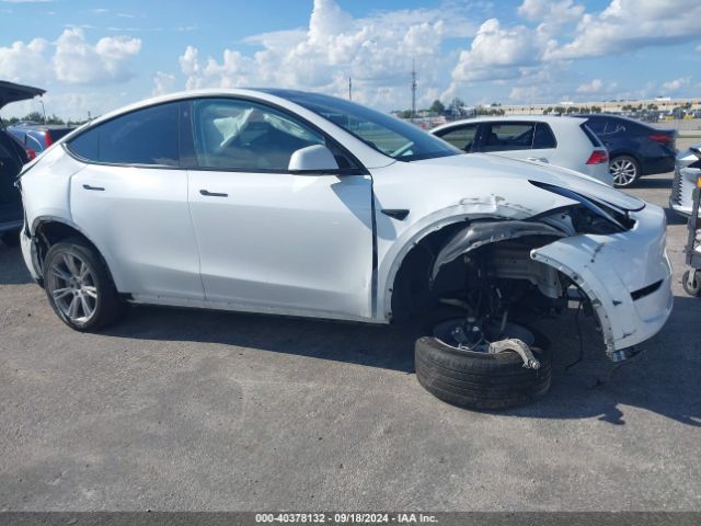 Photo 5 VIN: 7SAYGDEE1PF760785 - TESLA MODEL Y 