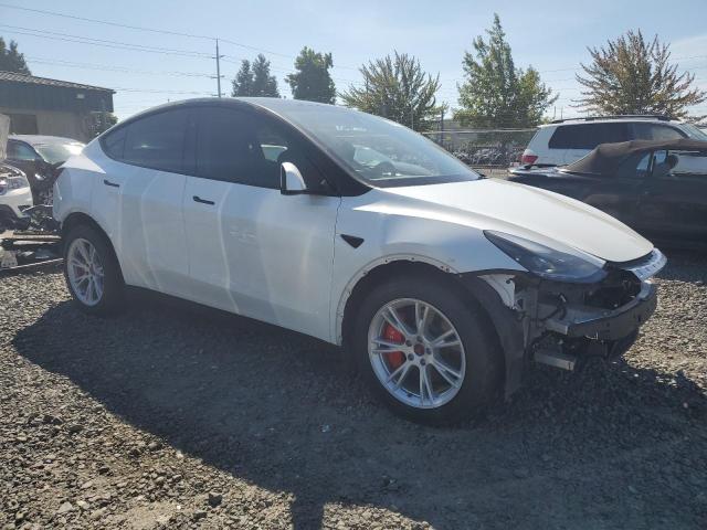 Photo 3 VIN: 7SAYGDEE1PF812593 - TESLA MODEL Y 