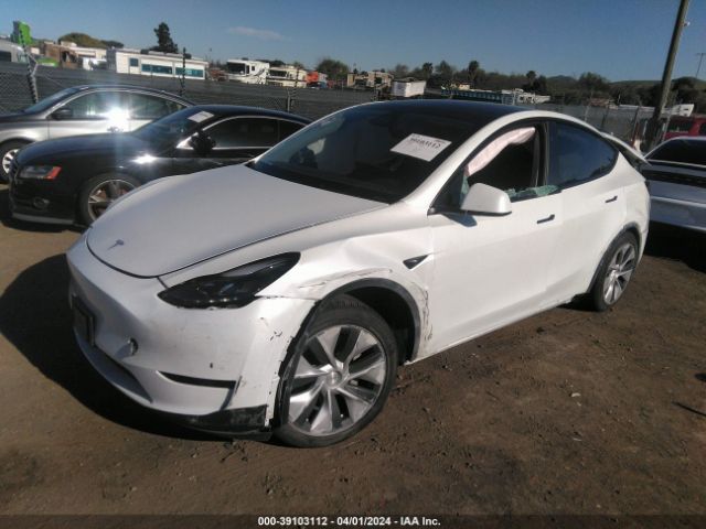 Photo 1 VIN: 7SAYGDEE1PF813016 - TESLA MODEL Y 