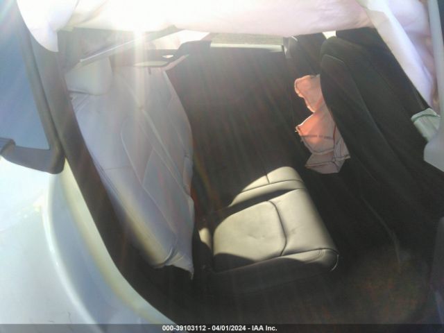 Photo 7 VIN: 7SAYGDEE1PF813016 - TESLA MODEL Y 