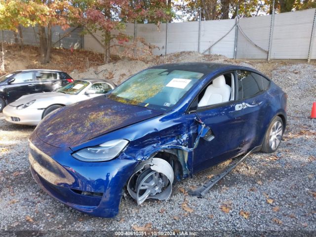 Photo 1 VIN: 7SAYGDEE1RA266328 - TESLA MODEL Y 