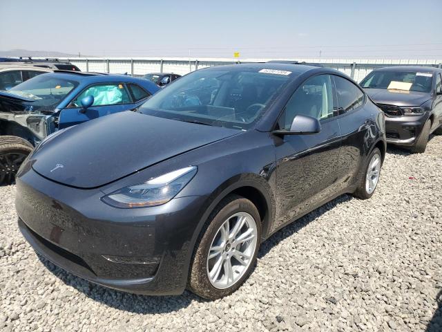 Photo 0 VIN: 7SAYGDEE1RF064558 - TESLA MODEL Y 