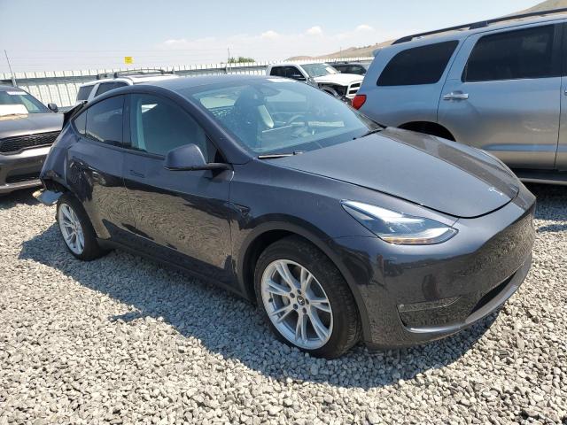 Photo 3 VIN: 7SAYGDEE1RF064558 - TESLA MODEL Y 