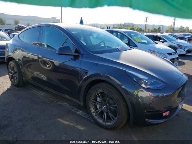 Photo 0 VIN: 7SAYGDEE1RF163929 - TESLA MODEL Y 