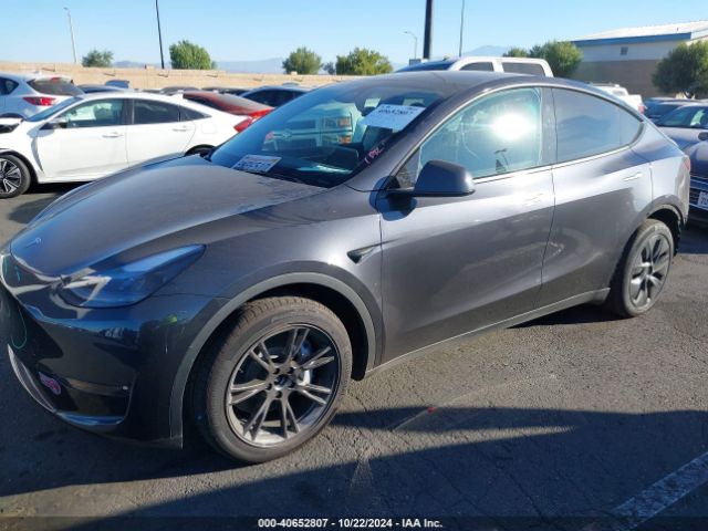 Photo 1 VIN: 7SAYGDEE1RF163929 - TESLA MODEL Y 