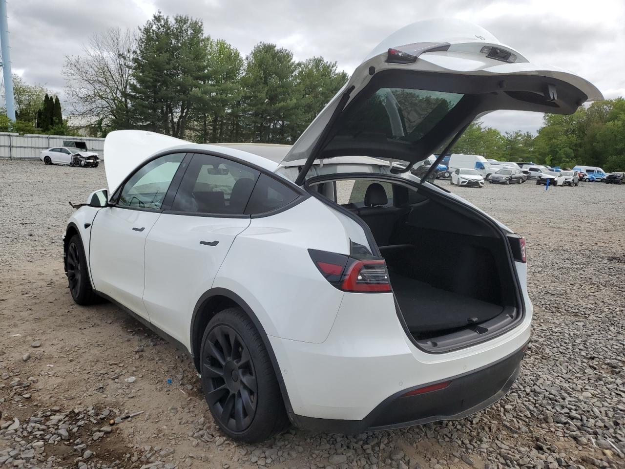 Photo 1 VIN: 7SAYGDEE2NA014081 - TESLA MODEL Y 