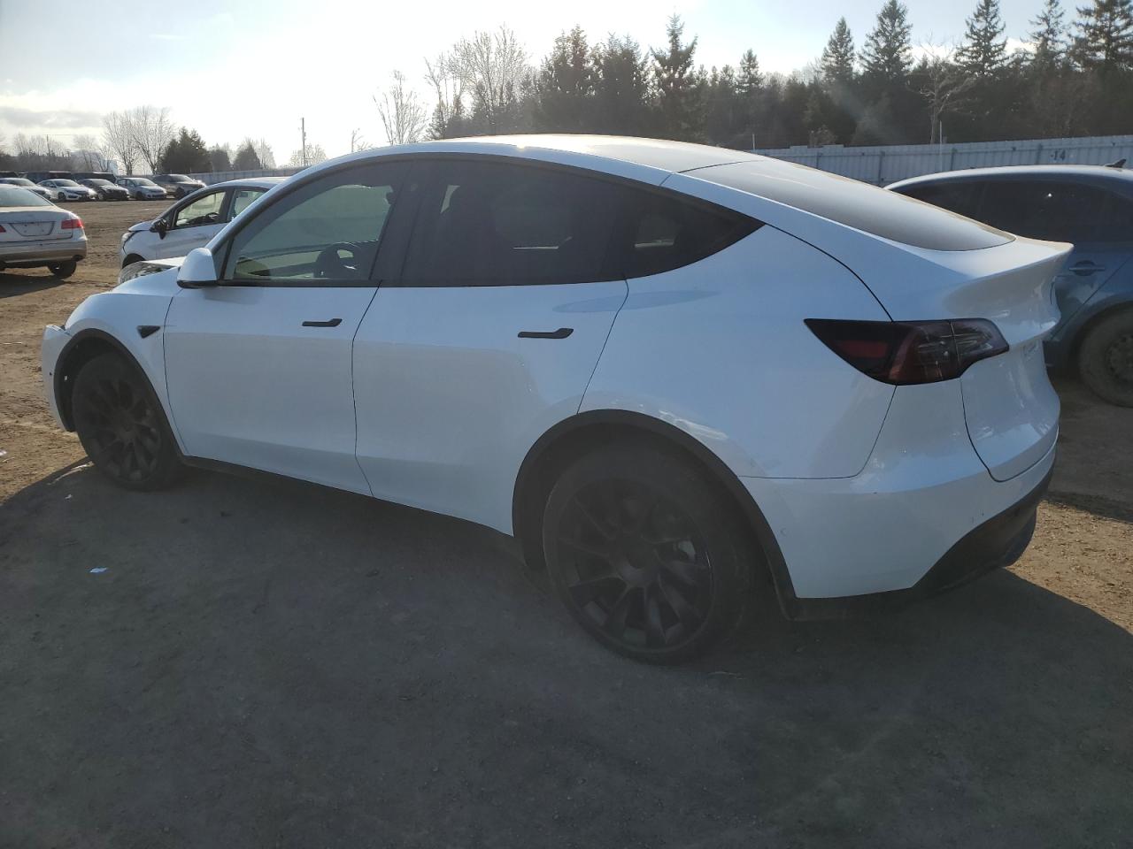 Photo 1 VIN: 7SAYGDEE2NF449671 - TESLA MODEL Y 