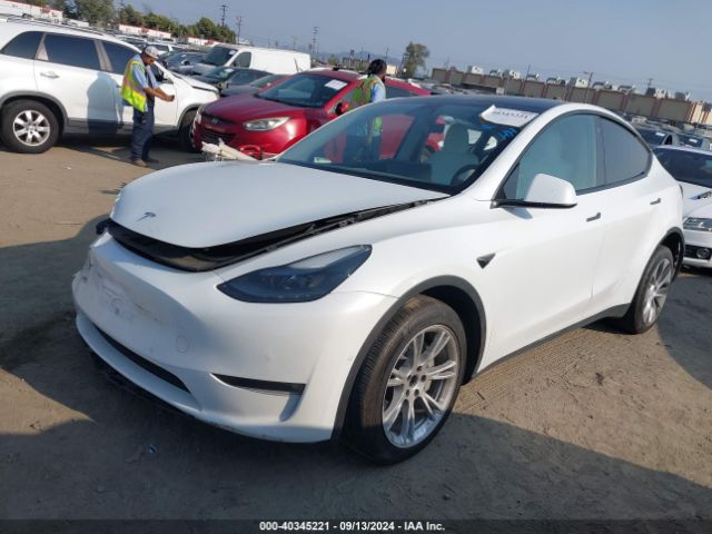 Photo 1 VIN: 7SAYGDEE2NF549334 - TESLA MODEL Y 