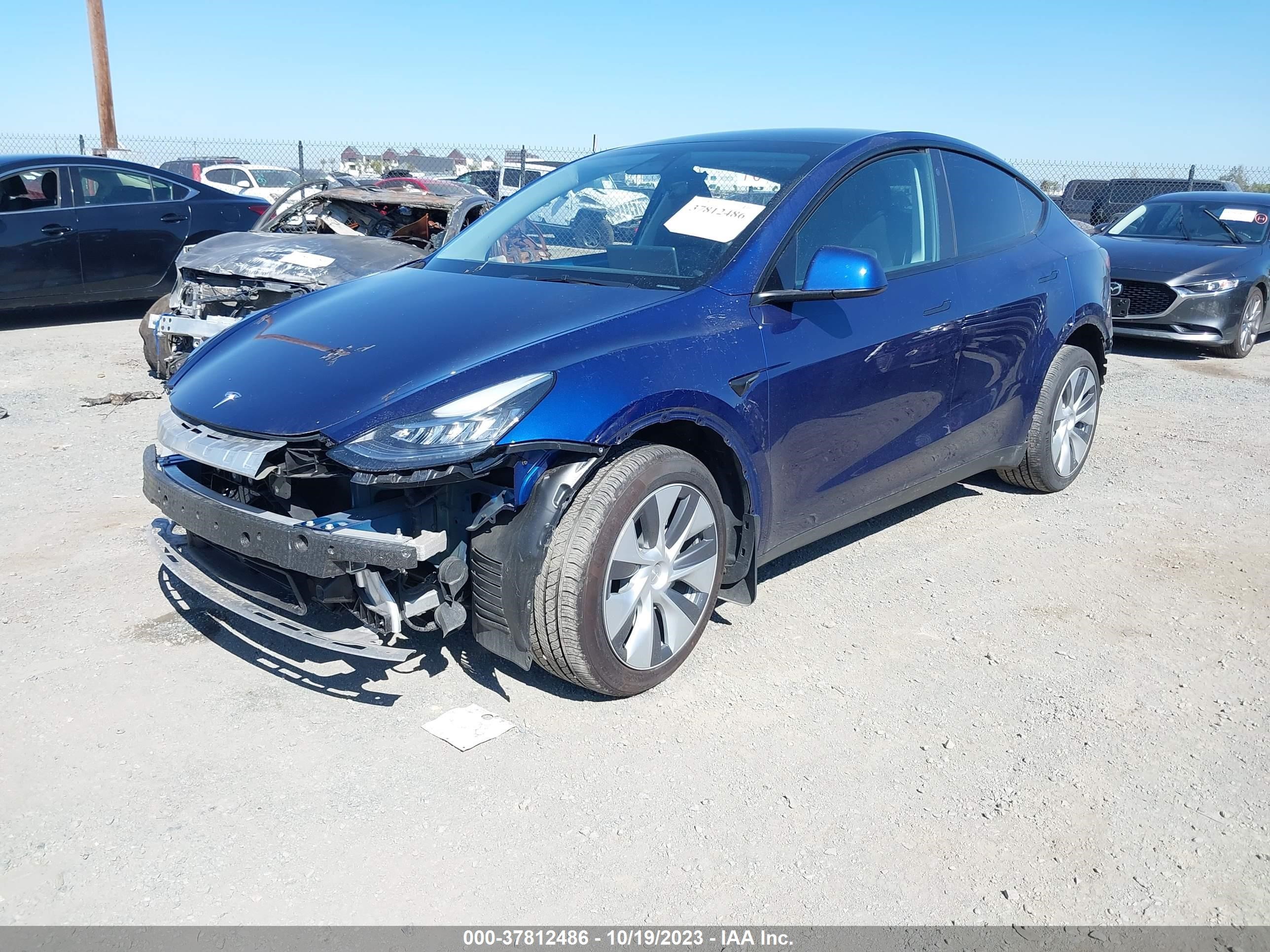 Photo 1 VIN: 7SAYGDEE2PA064644 - TESLA MODEL Y 