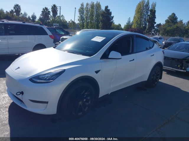 Photo 1 VIN: 7SAYGDEE2PA071528 - TESLA MODEL Y 